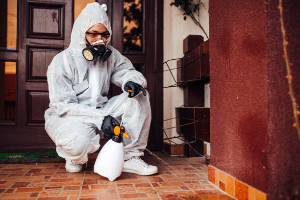 Reliable Ant Control contractor in Brock Hall, MD by Show Me Pest Control